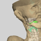 Italian scientists reconstructed Ötzi the Iceman’s vocal tract. (Image: Rolando Fustos)